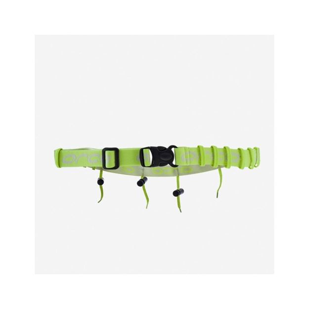 Picture of ORCA RACE BELT
